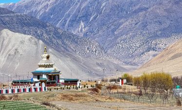 FB_IMG_1744783467446