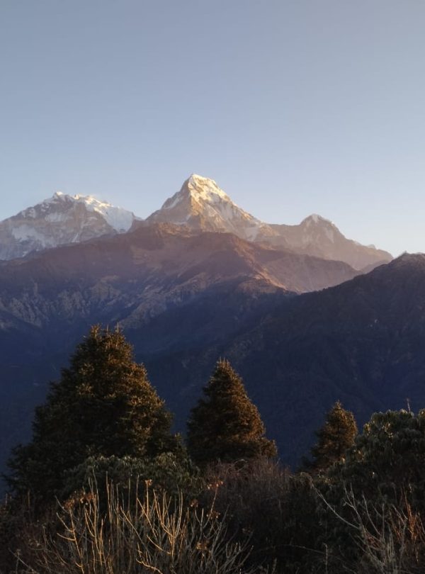 ba5e5805-1311-40bd-80d8-9d6ae9ca42c8