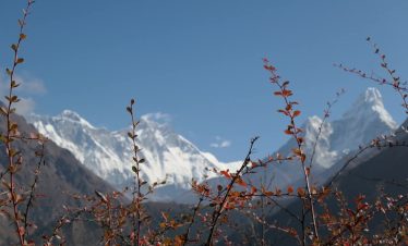 FB_IMG_1739410339689