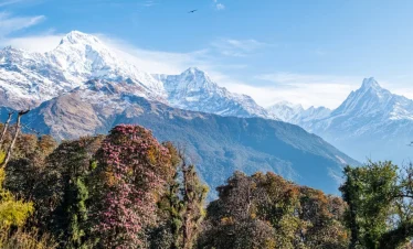 Image of Khopra Ridge Trek in Annapurna Region