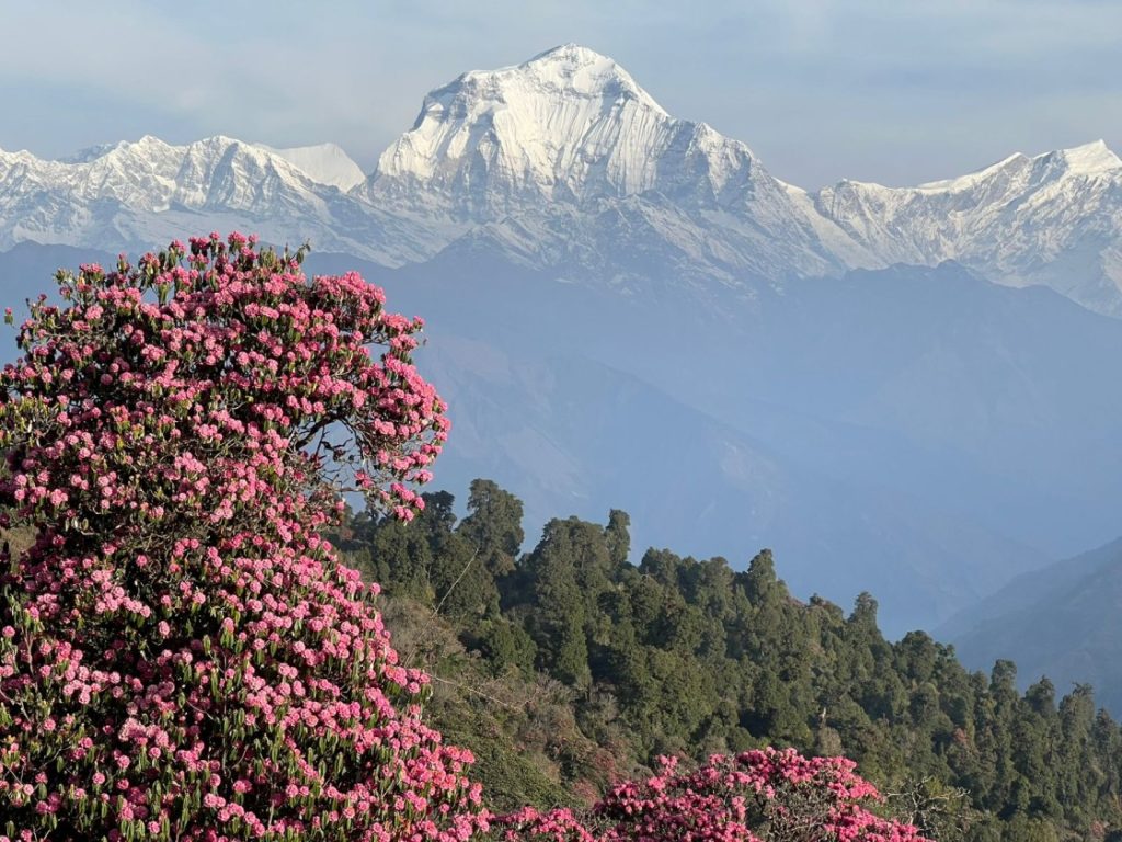 Khopra Ridge Trek