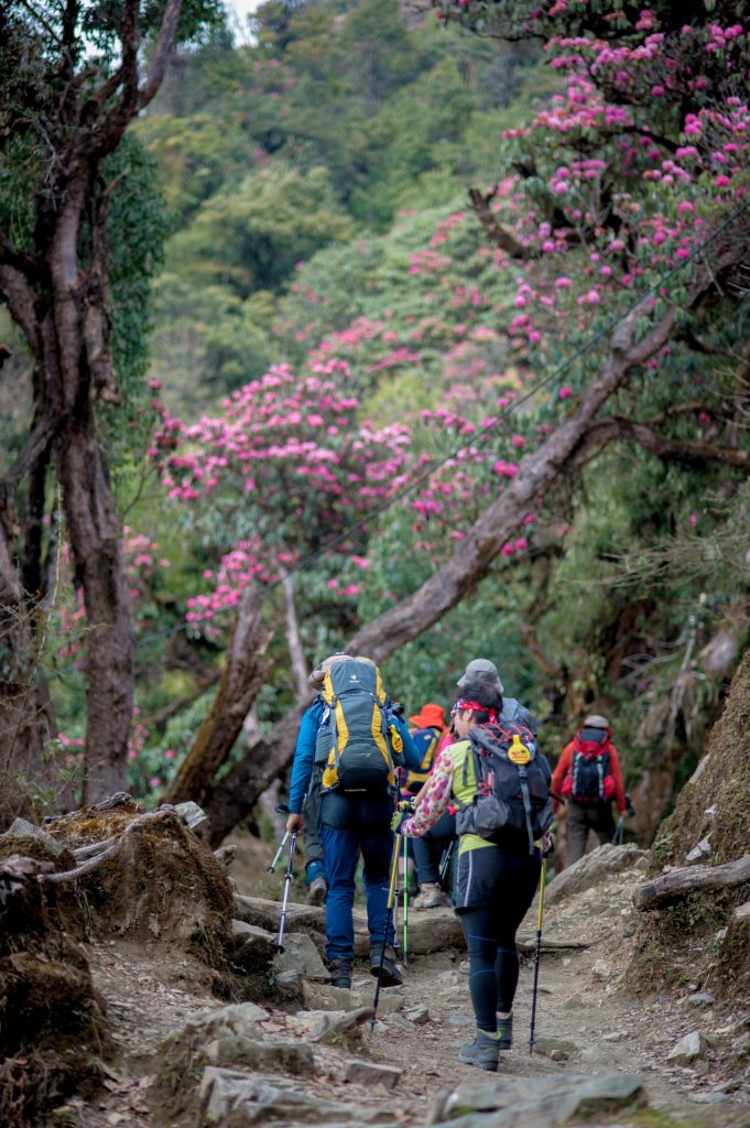 Annapurna Base Camp Trek
