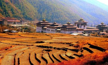 farm-fields-in-thimpu