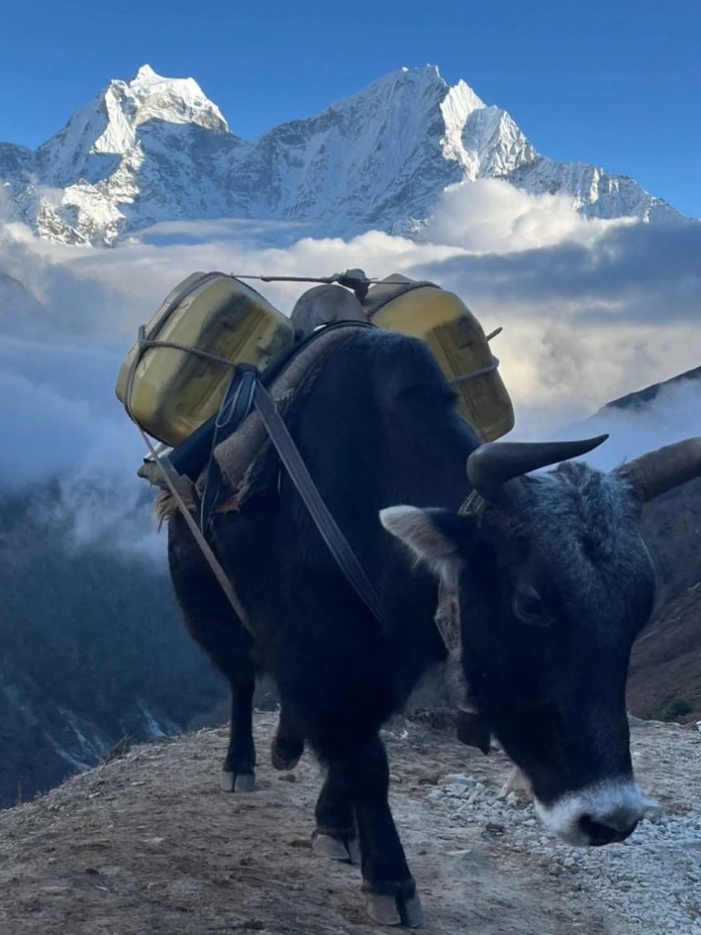Everest Base Camp Trek