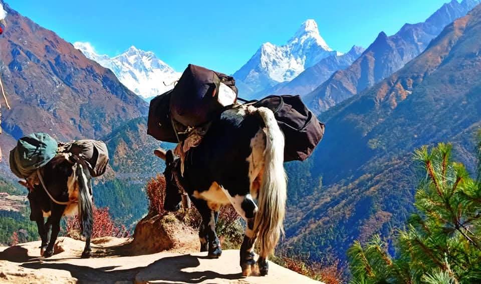 Transportation in Nepal