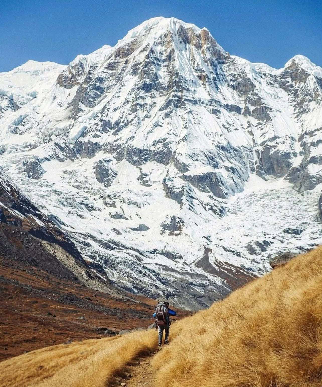 Trekker hiking on the Annapurna Base Camp Trek trail with breathtaking Himalayan mountain views in Nepal.