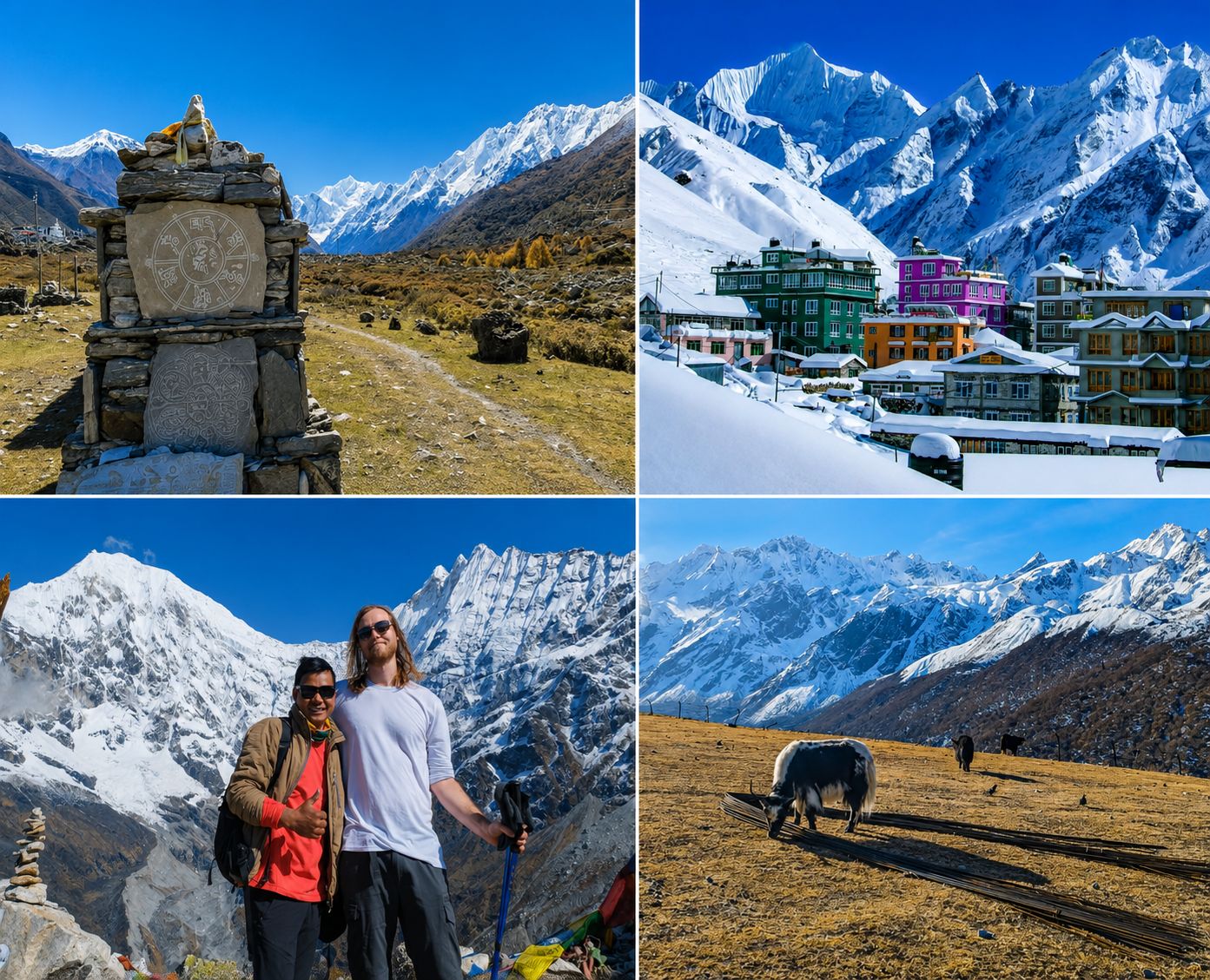 Collage featuring the best highlights of the Langtang Valley Trek including Kyanjin Gompa, Himalayan mountains, yaks, trekkers, and traditional Mani walls.