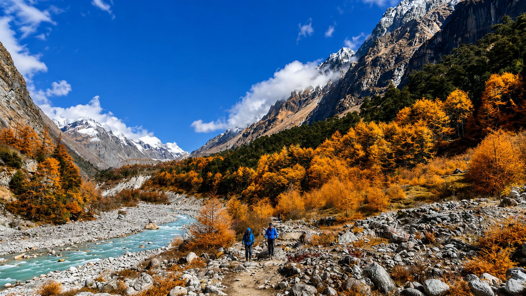 Trekkers walking beside a mountain river through colorful autumn forests on the Kanchenjunga Circuit Trek.