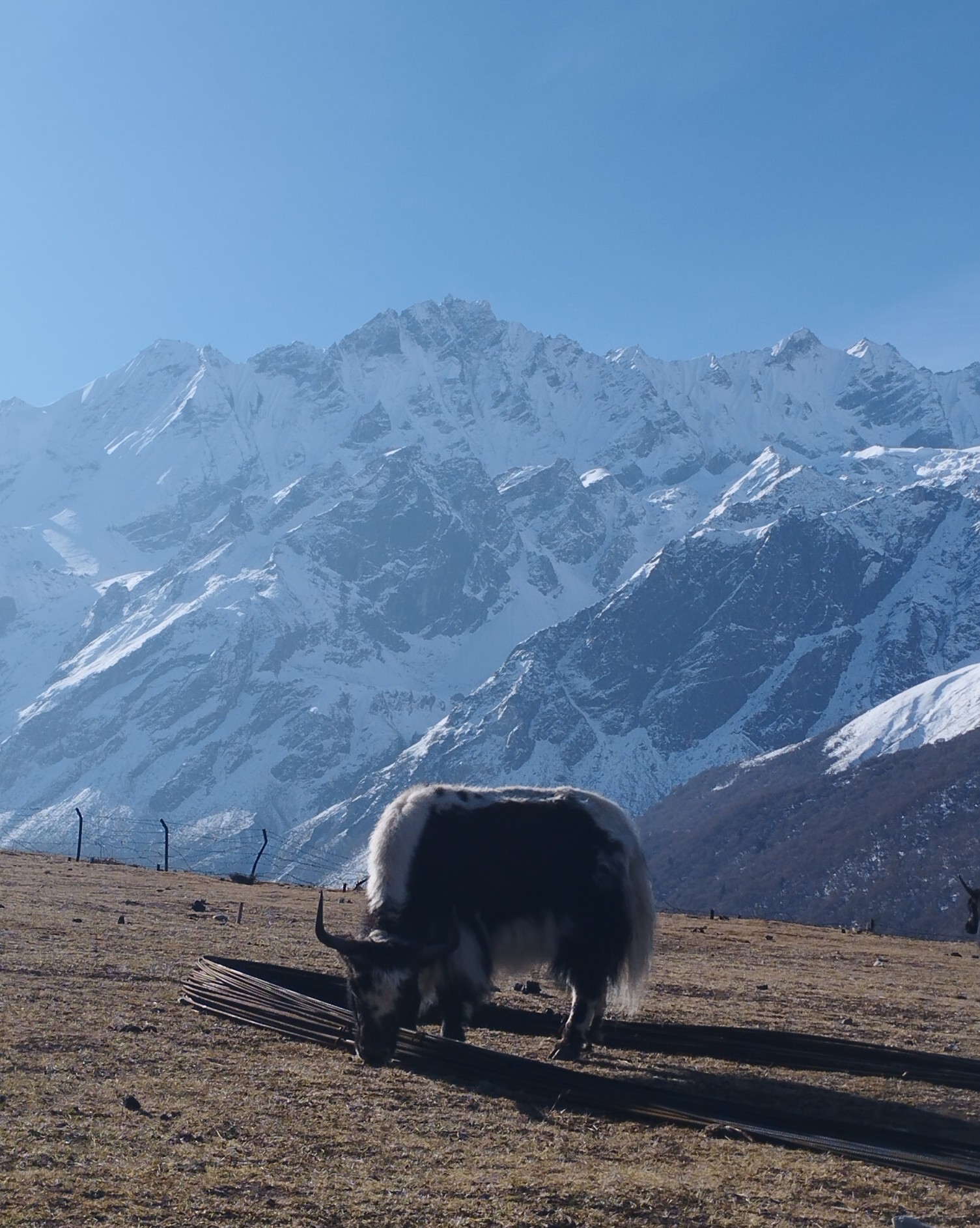 Langtang Valley Trek Difficulty 