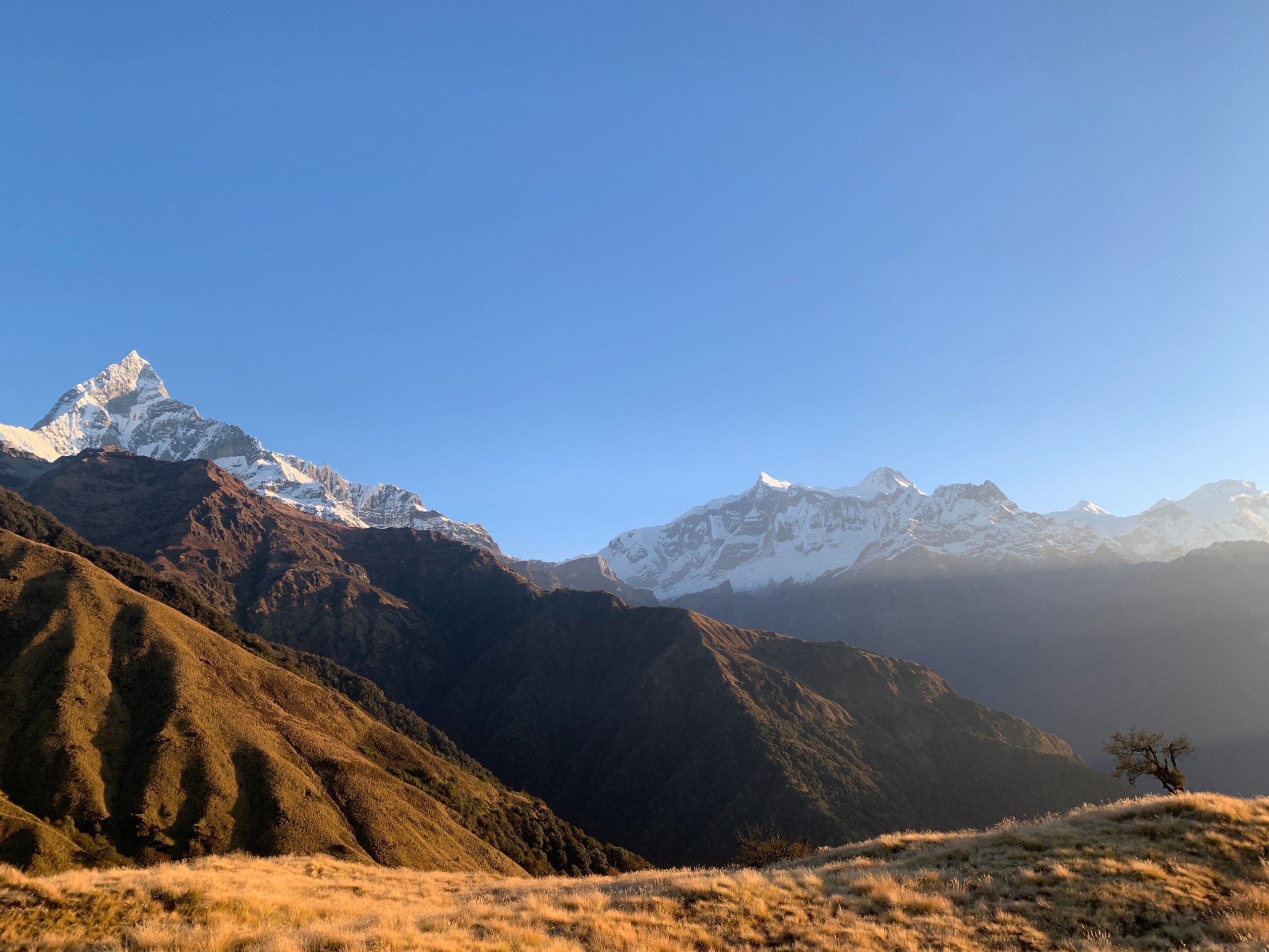 Mohare Danda Trek Cost 2027