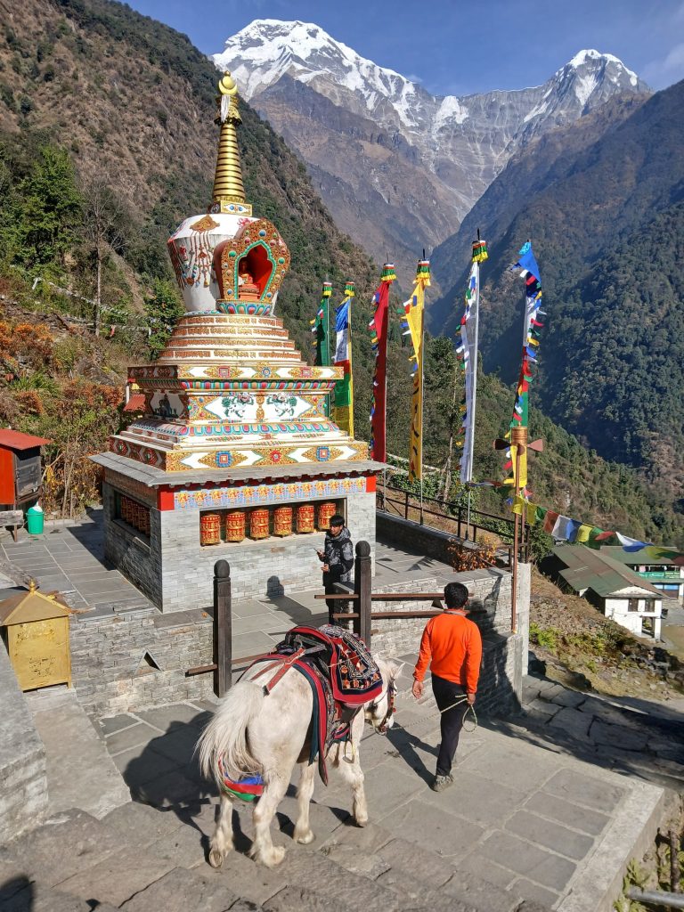 Mardi Himal Trek vs ABC