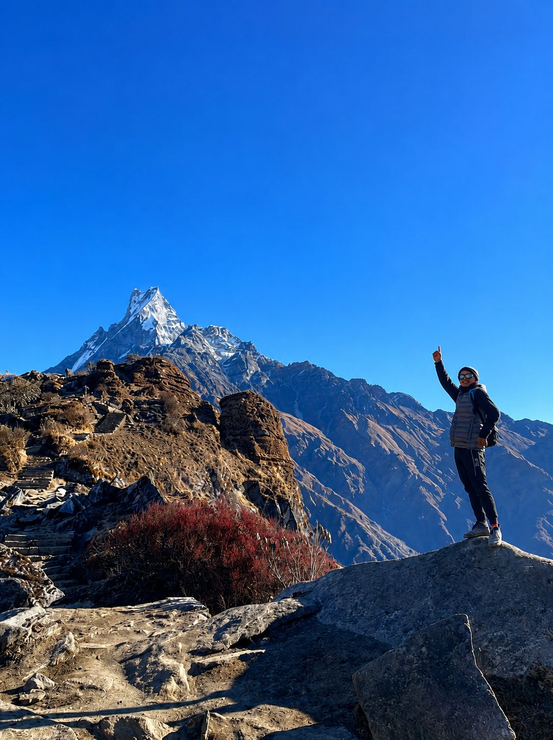 Trekker standing on a rocky viewpoint with Machhapuchhre (Fishtail Mountain) towering under a clear blue sky during the Mardi Himal Trek in Nepal.