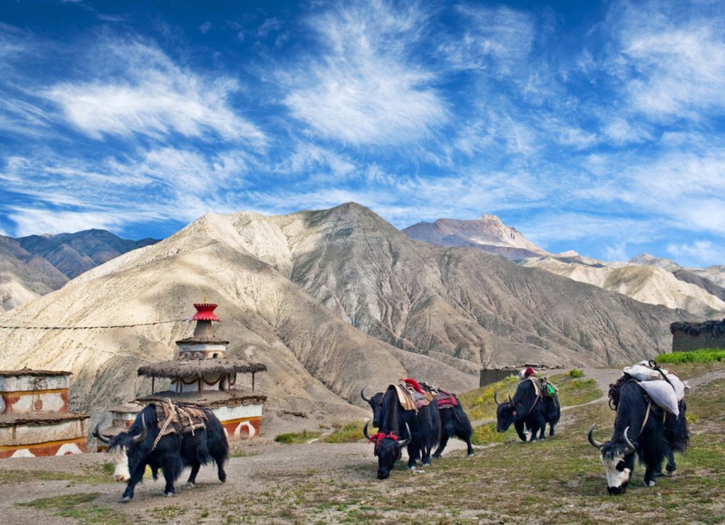 Upper Dolpo Trek