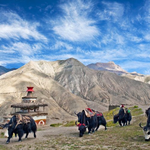 Upper Dolpo Trek