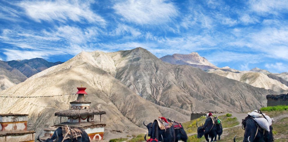 Upper Dolpo Trek
