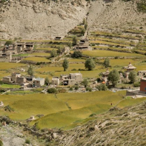 Upper Dolpo Trek
