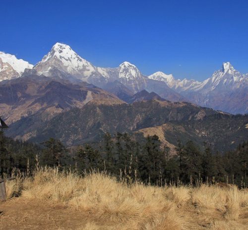 Mohore Dada Trek