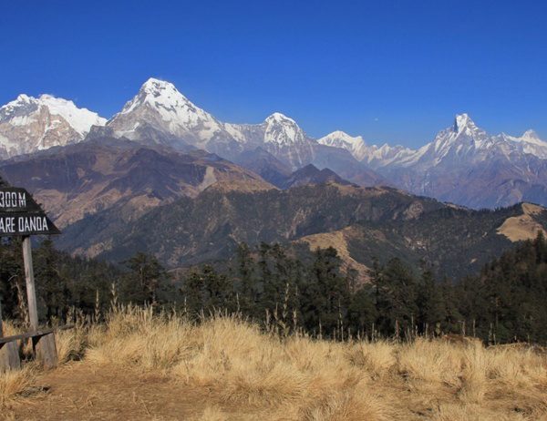 Mohore Dada Trek