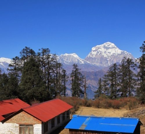 Mohore Dada Trek