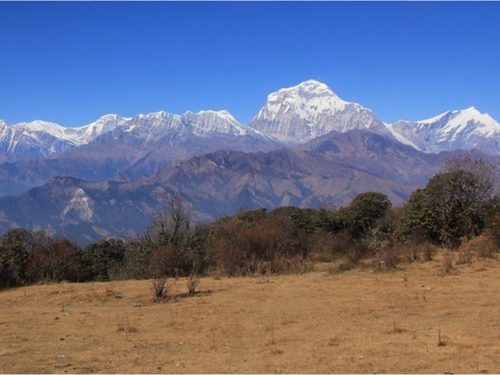 Mohore Dada Trek