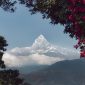 ABC annapurna base camp trek 1 1 1 85x85