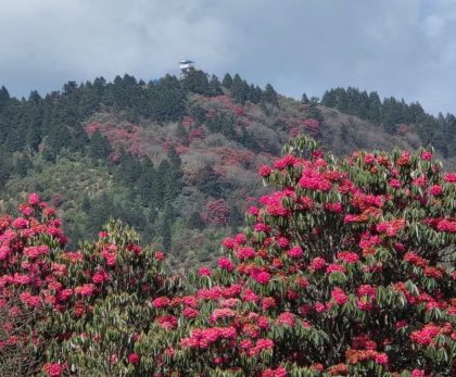 Best Time to Trek Annapurna Base Camp