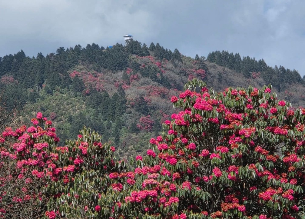 Best Time to Trek Annapurna Base Camp
