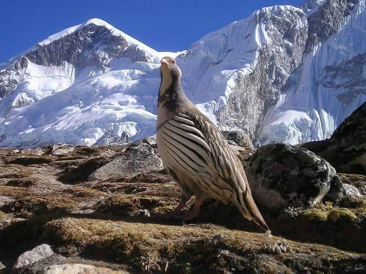 How Hard Is Everest Base Camp Trek
