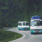 tourist bus 1 1 1 85x85